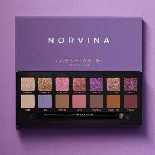 paleta norvina