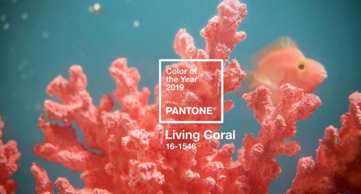 pantone 2019 arrecife coral