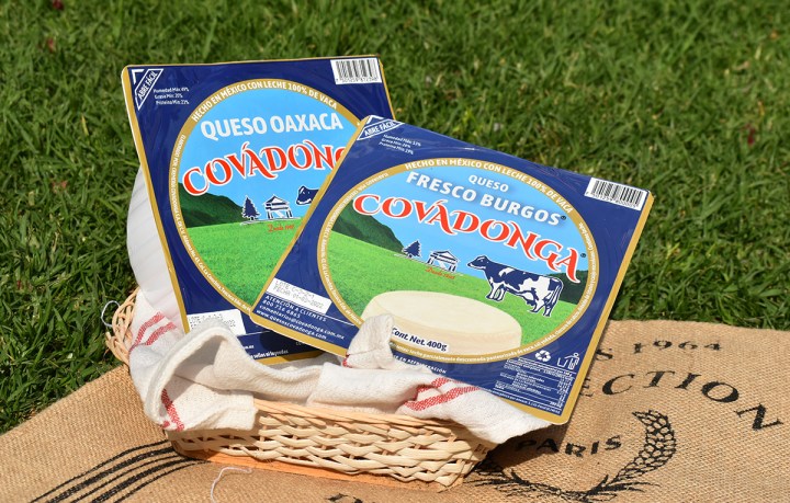 Conoce los diferentes quesos: ¡Los mexicanos somos “quesófilos”!