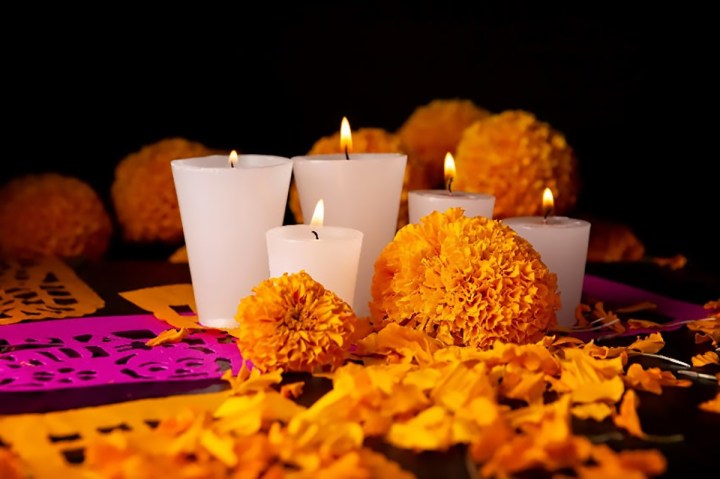 Festeja Halloween y Día de Muertos con estas divertidas&nbsp;recetas